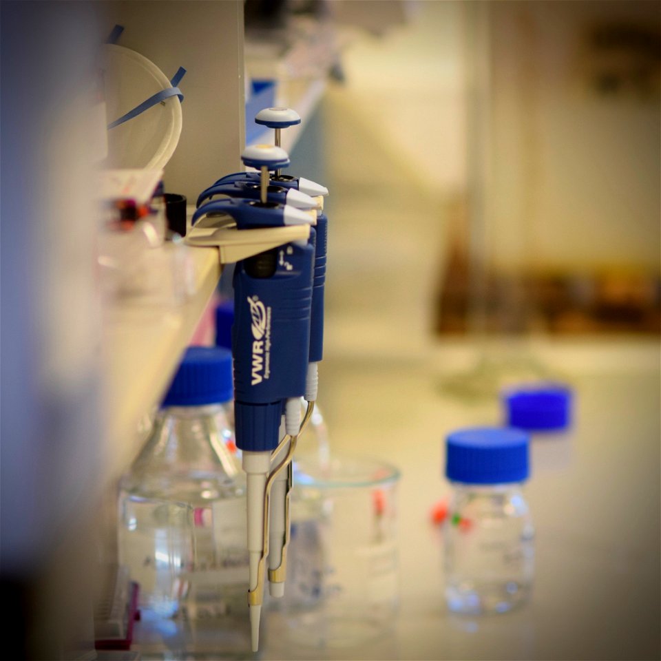 Greenpeace Research Laboratories - Science Unit at University of Exeter