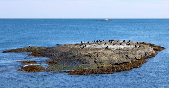 Chatham Islands Sept 2022