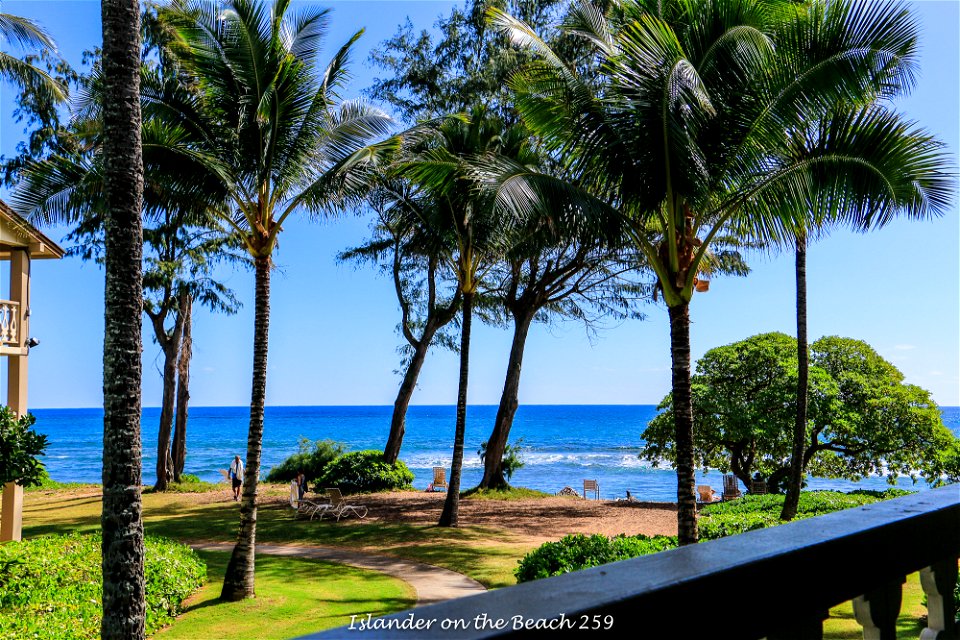 Islander on the Beach 258
