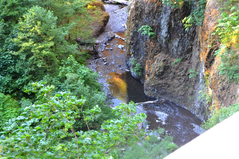 Multnomah Falls Stream