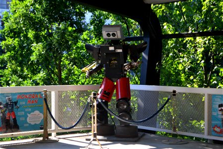 The Robot