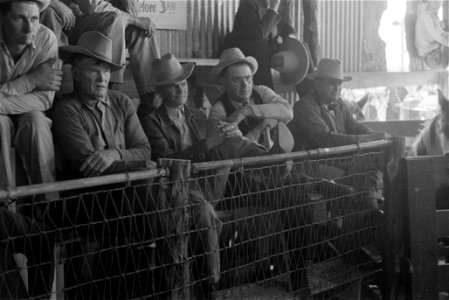 Cowboys Spectators at auction of horses at the west Texas stockyards, San Angelo, Texas