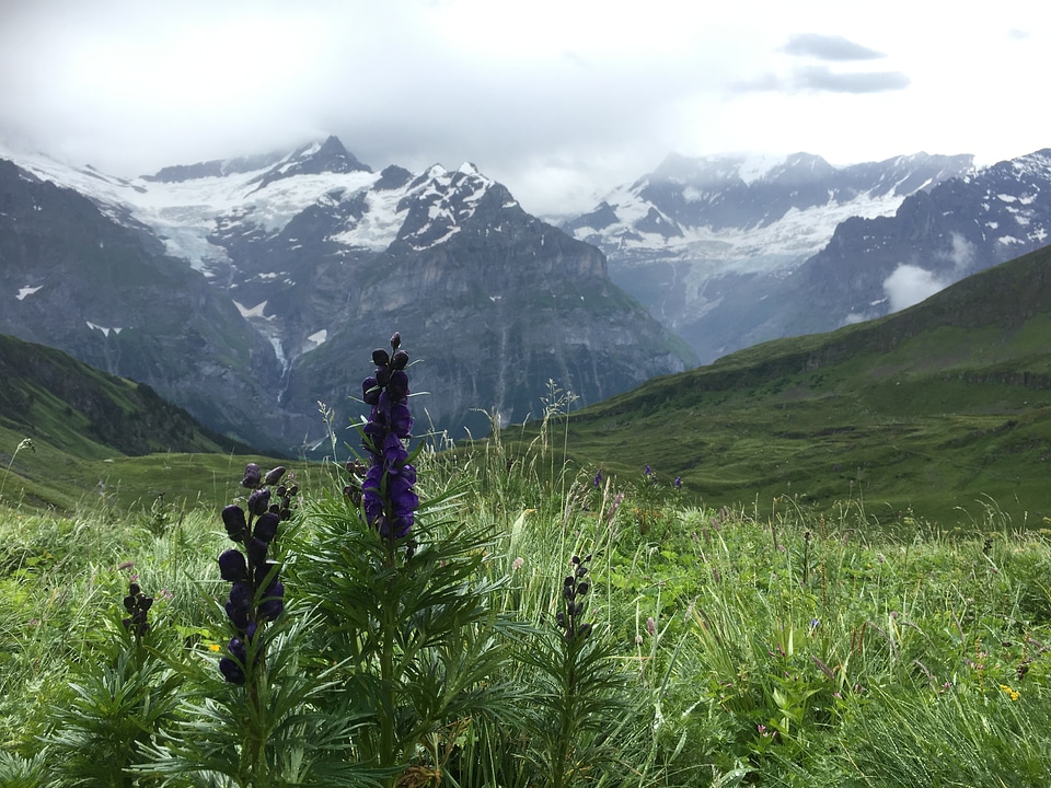 Jungfrau,Monch,Eiger North Oberland,Switzerland