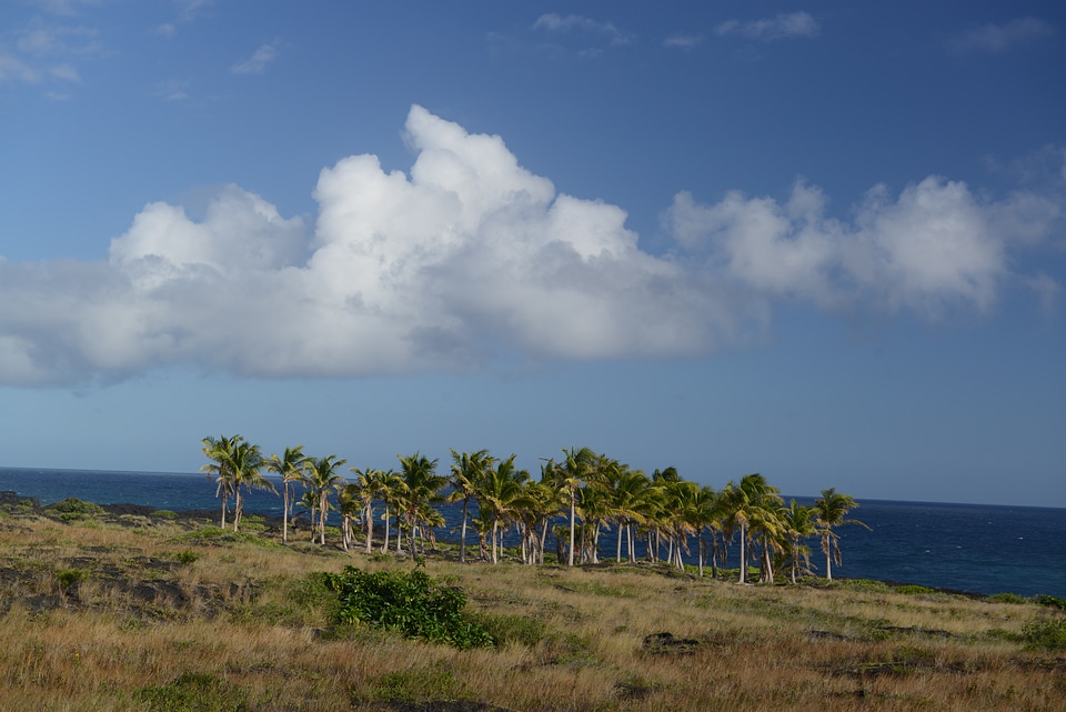 Hawaii Volcanoes National Park