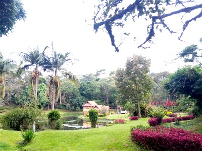 Kapsimotwa Gardens Kenya