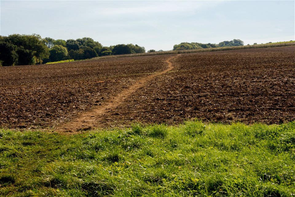 Right of Way photo