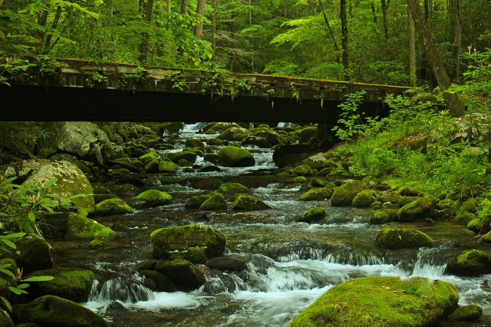 Graet Smoky Mountains National Park