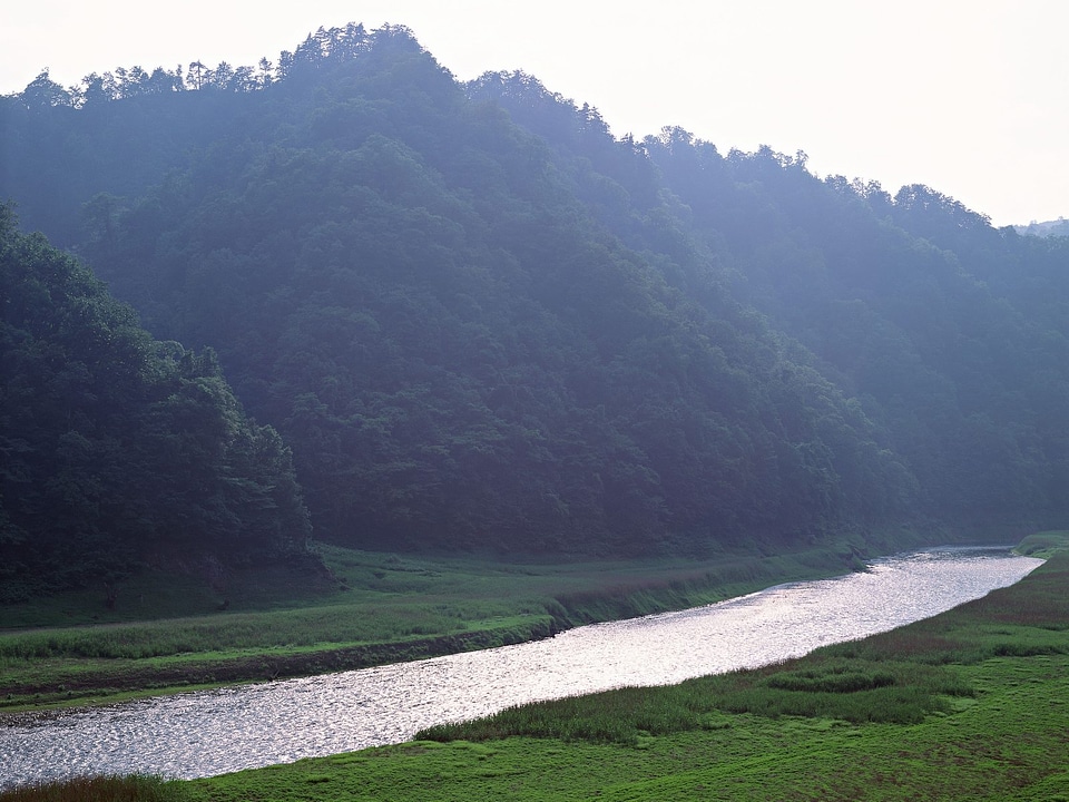 Beautiful view of mountain river in summer.