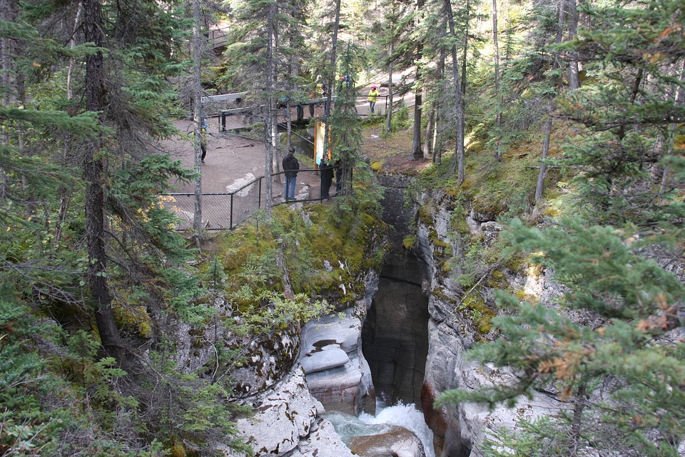 Parker Ridge Trail in the Canadian Rockies