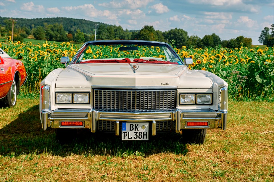 1976 Cadillac Eldorado Bicentennial Edition (2)
