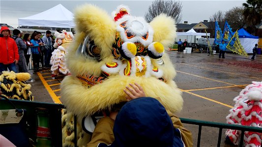 Kid and Lion Head