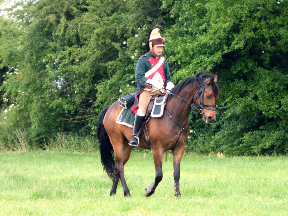 P1100590
