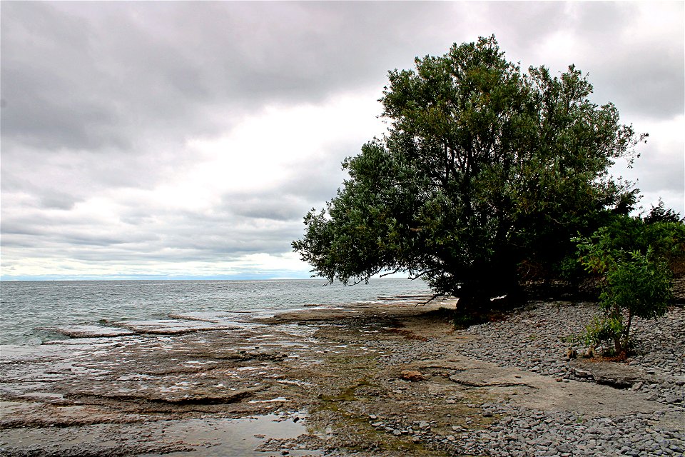 Majestic Lake Ontario