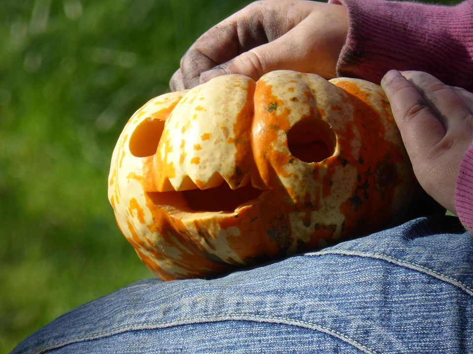 Play tinker halloween