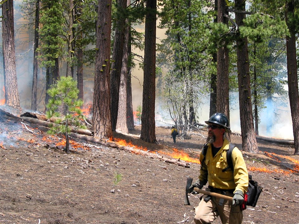 PrescribedBurn-LassenVolcanicNP-001