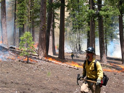 PrescribedBurn-LassenVolcanicNP-001