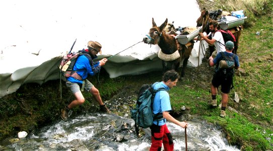 Transhumance en vallée d'Aspe