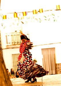 20120804_Flamenco_0021.jpg