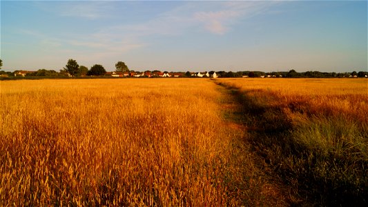 Yate Common
