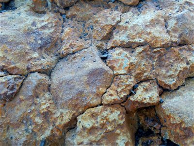 Sedimentary rocks 1 photo