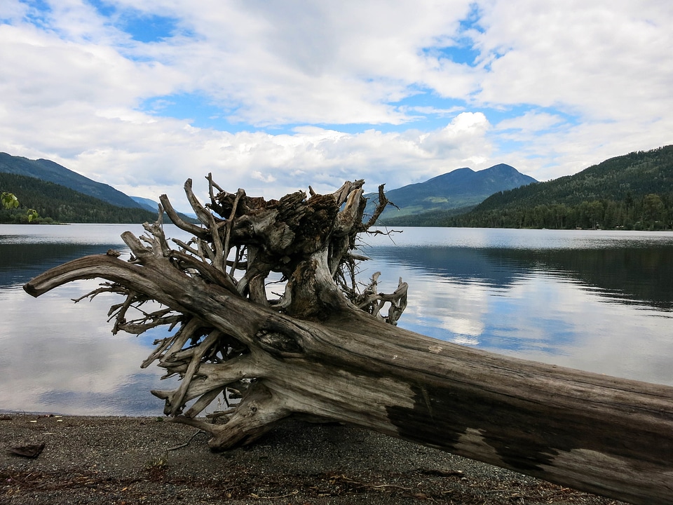 Beautiful Landscape in Canada photo