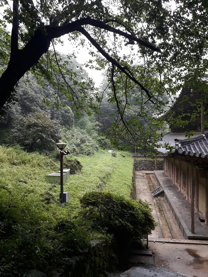 Hwaeomsa head temple in Gurye South Korea