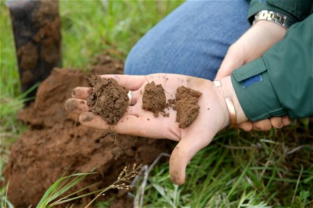 A soil scientist examines soil health. photo
