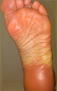 sexy foot nepsi high arched sole