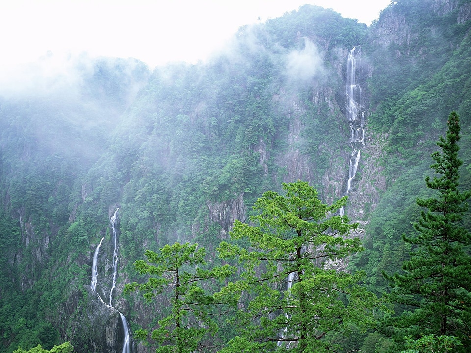 Beautiful summer landscape in the mountains. photo