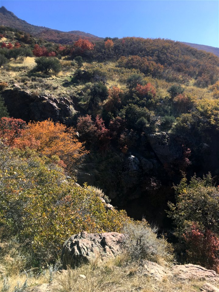 Adams Canyon, Layton, Utah