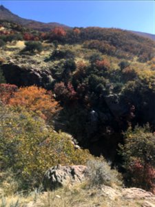 Adams Canyon, Layton, Utah