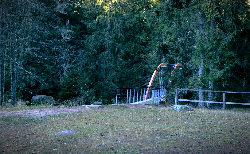 Bridge to the forest.