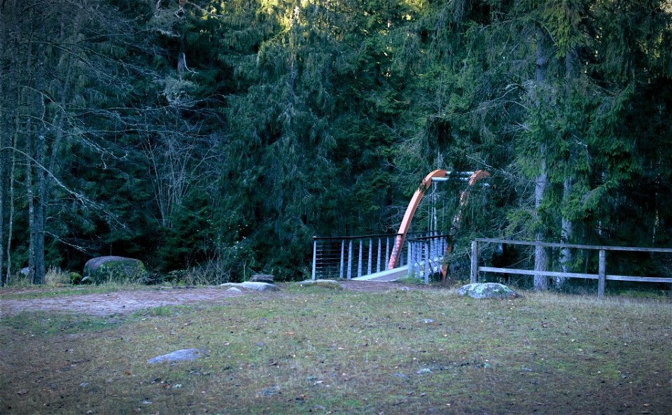 Bridge to the forest. photo