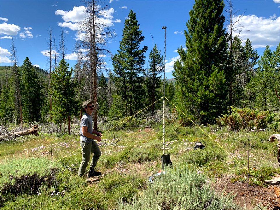 Setting up NABat stationary monitoring