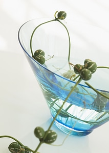 Vase on table decoration