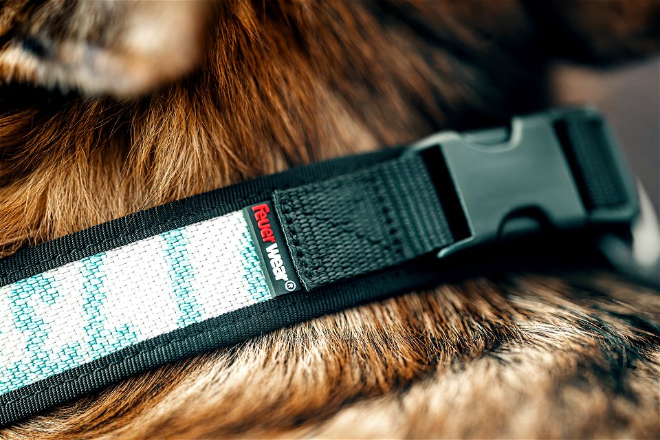 Feuerwear_Hunde-Halsband Timmy_Schäferhund_Detail_Logo_067