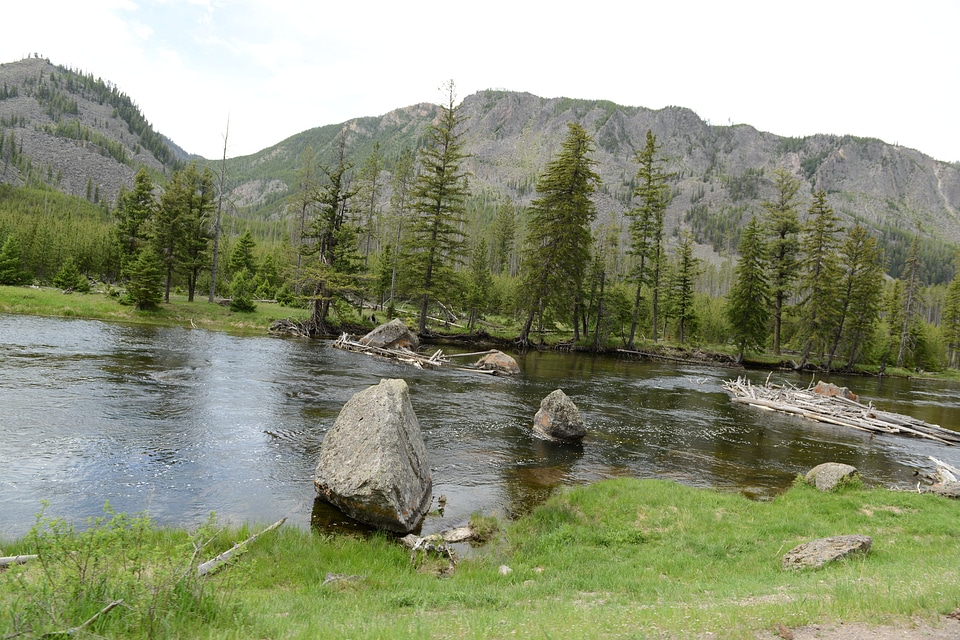 Yellowstone National Park