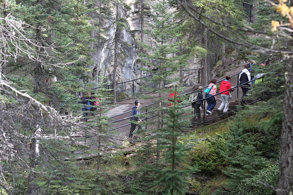 Parker Ridge Trail in the Canadian Rockies