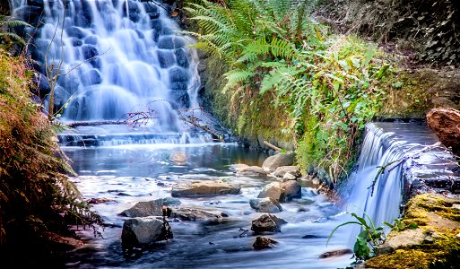 Stricklands Glen - Bangor