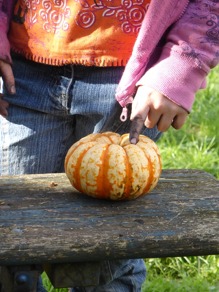 Girl pumpkin play