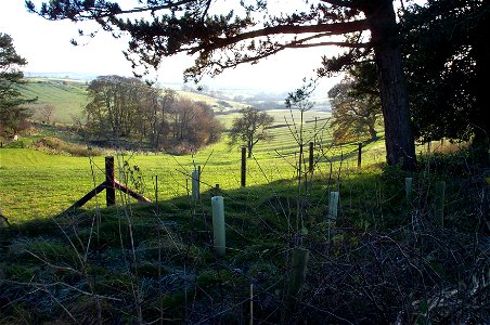 Dalby Hills