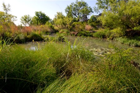 Spring Creek