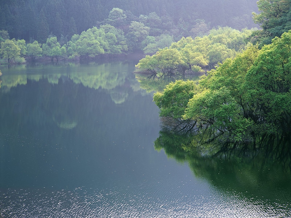 Kawaguchiko lake in summer