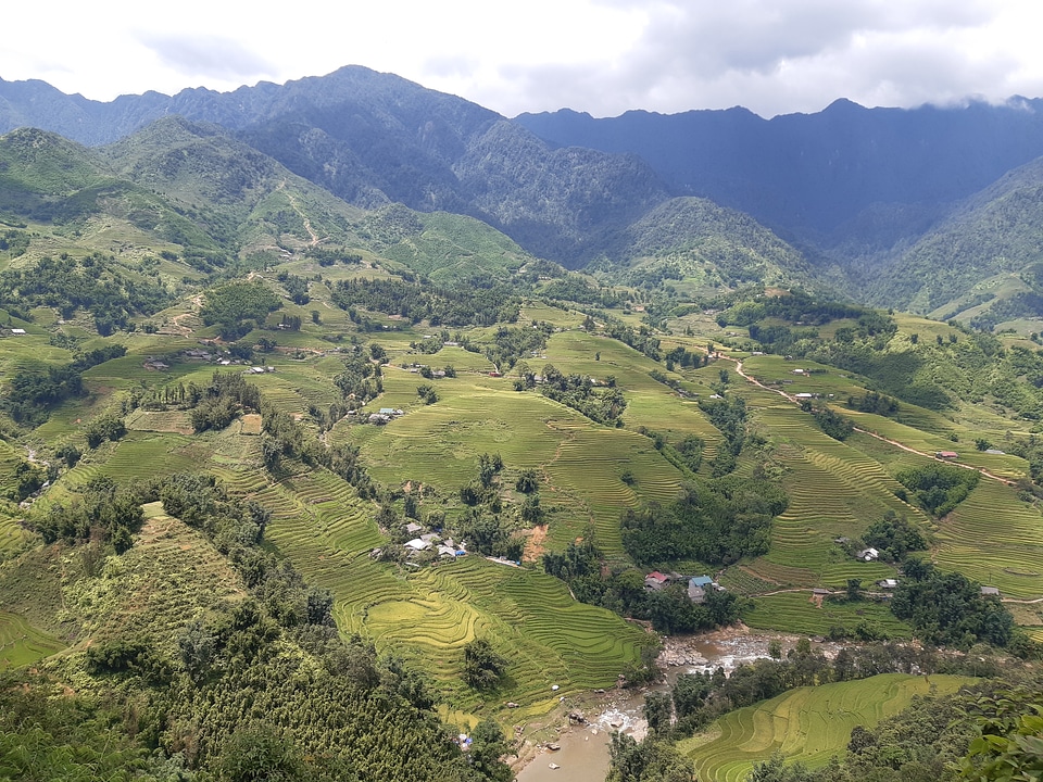 Mu Cang Chai, terraced rice field landscape