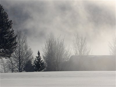 winter morning in stanley photo