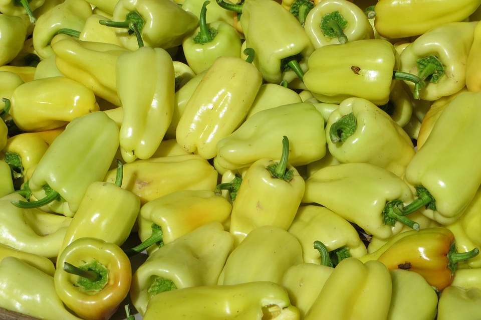 Yellow pepper on a market. Landscape