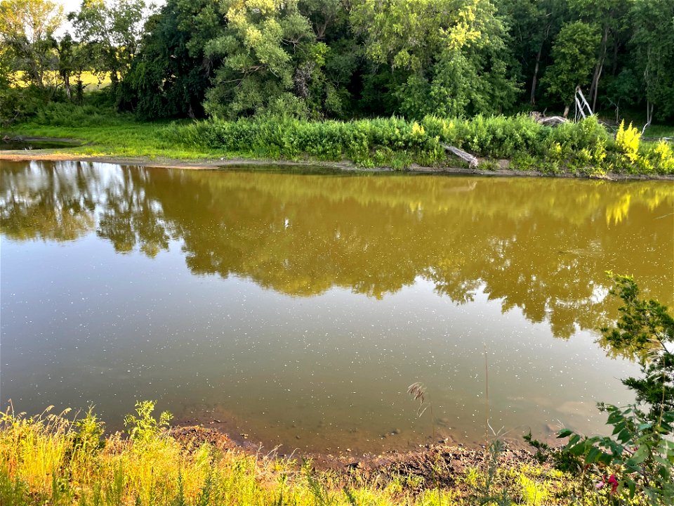 Park near Crow Wing River MN 2022 Aug