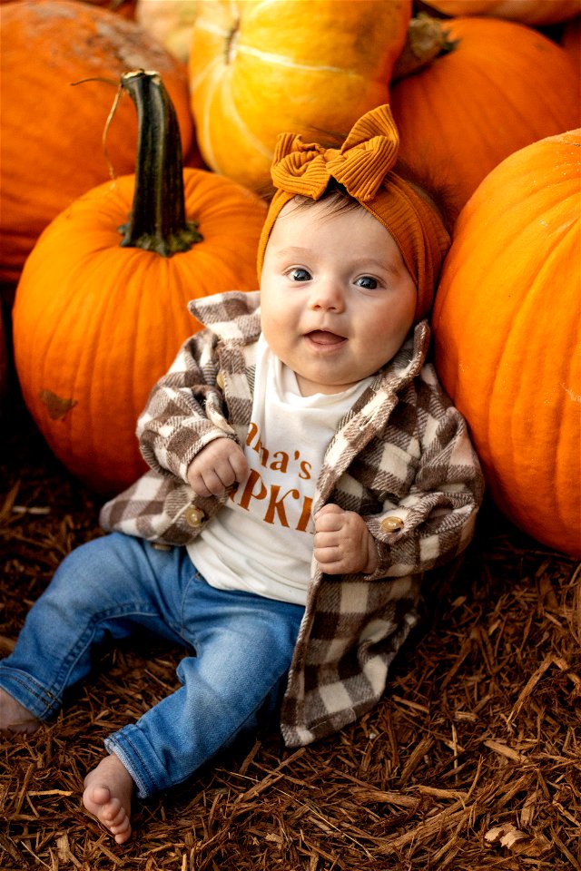 Pumpkin Patch