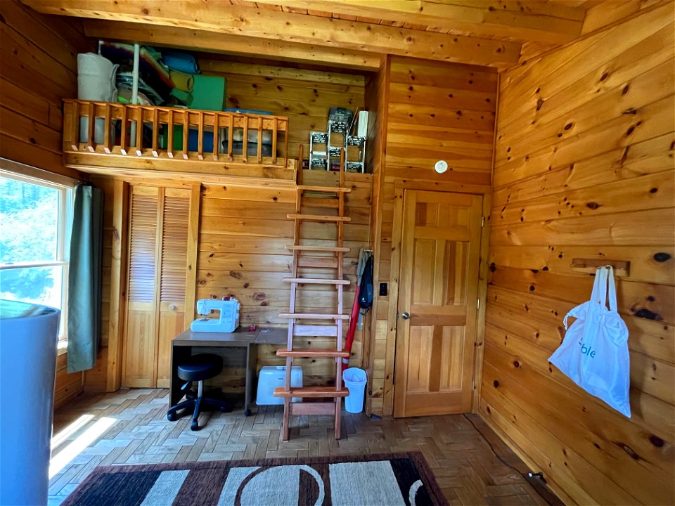 Room with storage loft/custom ladder
