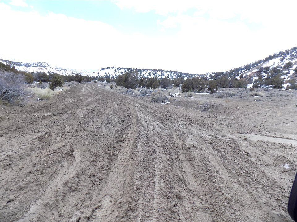 Mud with Tire Tracks on Mountain Road 1